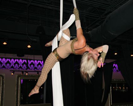 seattle aerial arts